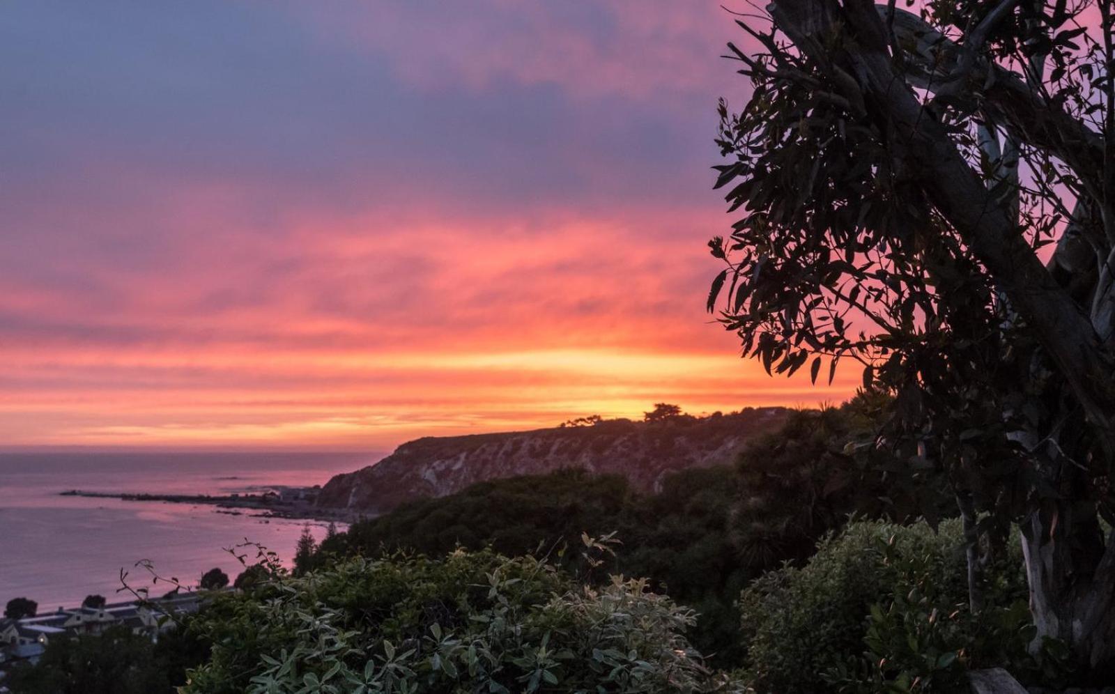Absolutely Kaikoura